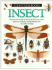 Insect (Eyewitness Books)
