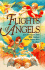 Flights of Angels Book