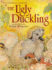 The Ugly Duckling (Caldecott Honor Book)