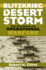 Blitzkrieg to Desert Storm: the Evolution of Operational Warfare (Modern War Studies)