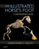 The Illustrated Horse's Foot: a Comprehensive Guide, 1e