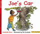 Joe's Car (Thinkers)