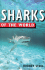 Sharks of the World