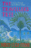 The Traveller's Tree: a Journey Through the Caribbean Islands. Patrick Leigh Fermor