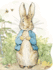 Peter Rabbit (Puppet Storybook)