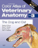 Color Atlas of Veterinary Anatomy: the Dog and Cat: Vol 3
