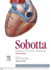 Sobotta Atlas of Human Anatomy: Internal Organs