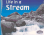 Life in a Stream (Pebble Plus)