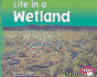 Life in a Wetland (Living in a Biome)