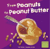 From Peanuts to Peanut Butter