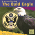 The Bald Eagle