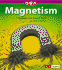 Magnetism: a Question and Answer Book