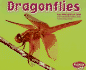 Dragonflies (Bugs, Bigs, Bugs, )