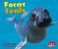 Focas / Seals (Pebble Plus: Bajo Las Olas = Under the Sea) (Spanish and English Edition)