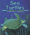 Sea Turtles