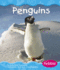 Penguins (Polar Animals)