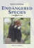 Endangered Species (Writing the Critical Essay)