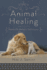 Animal Healing: Hands-on Holistic Techniques