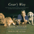 Cesar's Way: the Natural, Everyday Guide to Understanding & Correcting Common Dog Problems