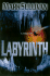 Labyrinth: a Novel