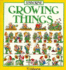 Growing Things (Simple Activities)