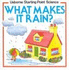 What Makes It Rain? (Usborne Starting Point Science S. )