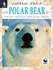 Polar Bear (Natural World)