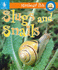 Slugs and Snails (Minibeast Pets)