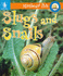 Slugs and Snails