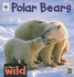 In the Wild: Polar Bears