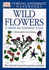 Wildflowers of Britain and Northwest Europe (Dk Handbooks)