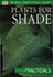 Plants for Shade