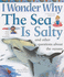 I Wonder Why the Sea is Salty: and Other Questions About the Oceans