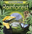 Rainforest (Kingfisher Voyages)