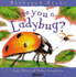 Are You a Ladybug?