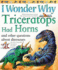 I Wonder Why Triceratops Had Horns: and Other Questions About Dinosaurs