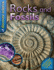 Rocks and Fossils (Discover Science)