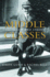 Middle Classes: Their Rise and Sprawl