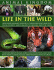 Animal Kingdom: Life in the Wild: Life in the Wild-How Wild Animals Survive in Their Different Habitats, From Deserts and Jungles to Oceans and the Skies
