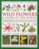 The Illustrated Encyclopaedia of Wild Flowers and Flora of the World (Illustrated Encyclopedia of): an Expert Reference and Identification Guide to...Beautiful Illustrations, Maps and Photographs