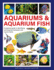 Aquariums & Aquarium Fish: A practical guide to identifying and keeping freshwater and marine fishes