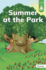 Summer at the Park