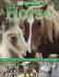 Eye Wonder: Horses and Ponies