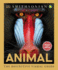 Animal: the Definitive Visual Guide
