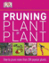 Pruning Plant By Plant