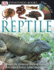 Reptile [With Clip-Art Cd] (Dk Eyewitness Books)