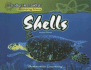 Shells (Reading Essentials: Discovering Science)