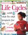 Life Cycles: Sally Hewitt (Discovering Nature)