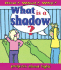 What is a Shadow? (How? What? Why? )