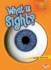 What is Sight? (Lightning Bolt Books ? Your Amazing Senses)